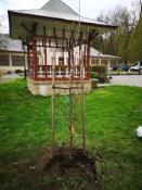 Earth Day at TUKE 2023