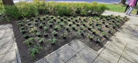 Earth Day at TUKE 2023